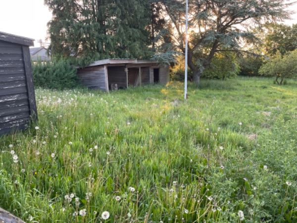 Overvokset græsplæneklipning