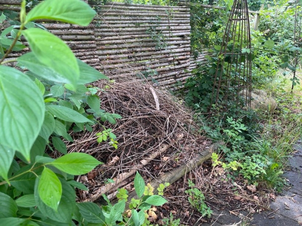 Fjernet byggeaffald, cykel mm fra have