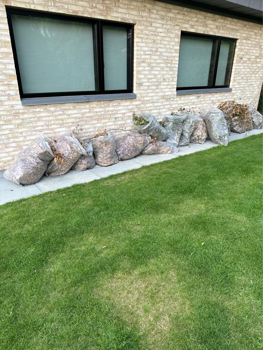 Bordkørsel af hækafklip