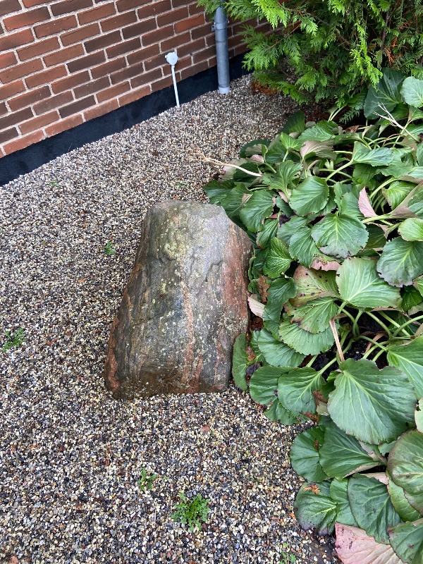 Ukrudtsdug og perlesten