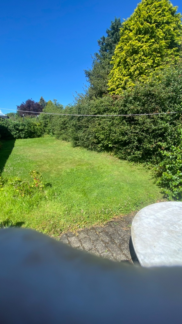 Klipning af hæk og fjernelse af affald