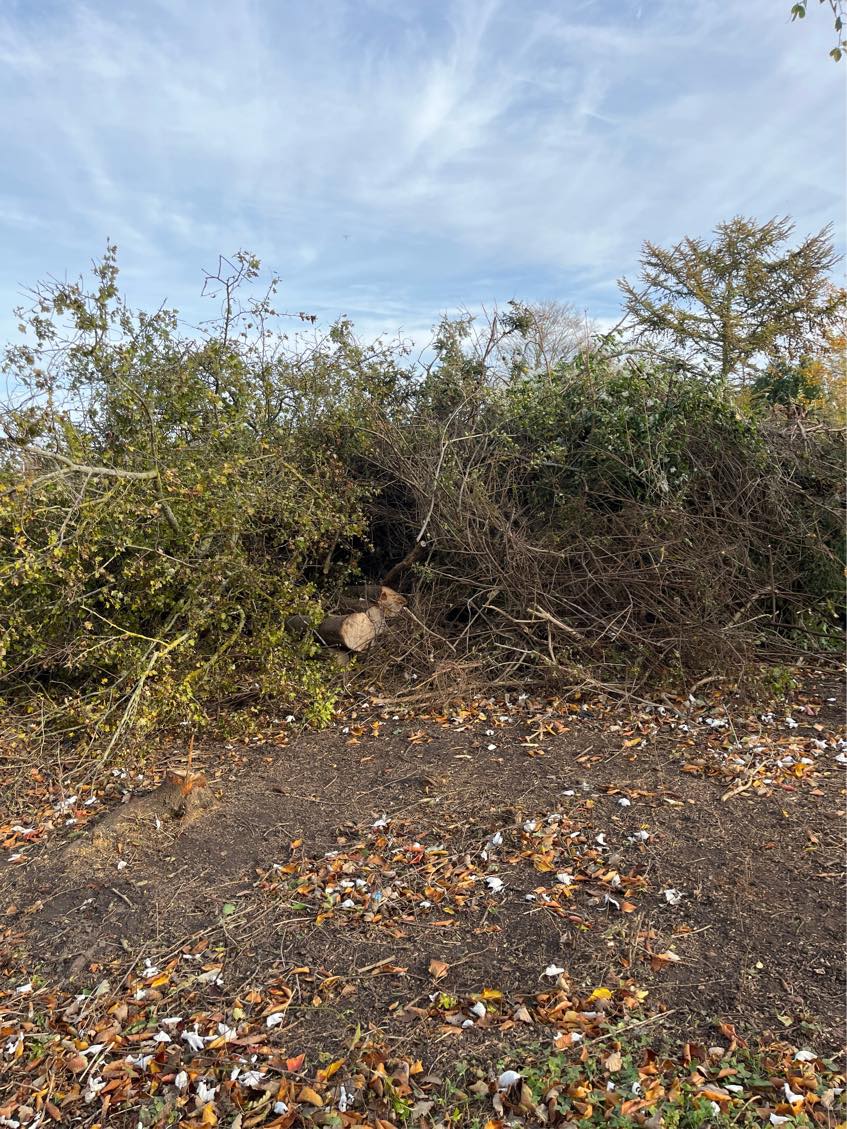 Fjernelse af haveaffald