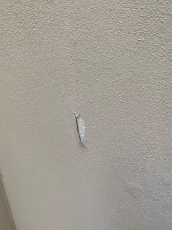 Reparation af ydermur