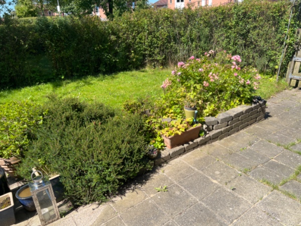 Græsslåning og fjernelse af ukrudt og klipning af bed