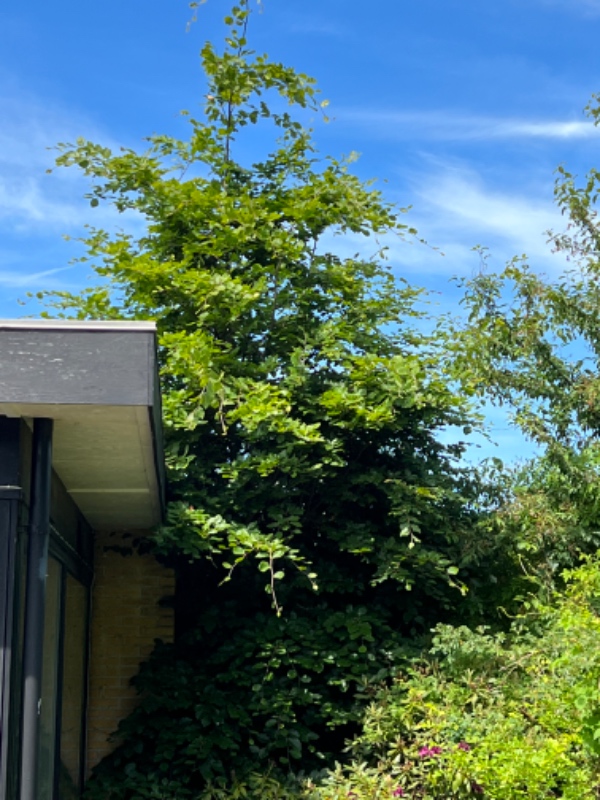 Bed skal ryddes og fliser rensed