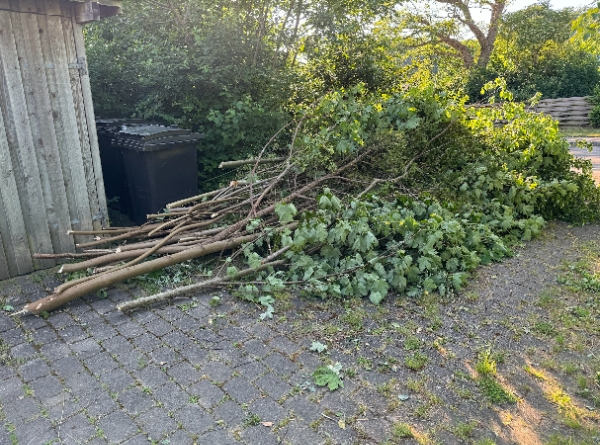 Afhentning af granaffald og grene