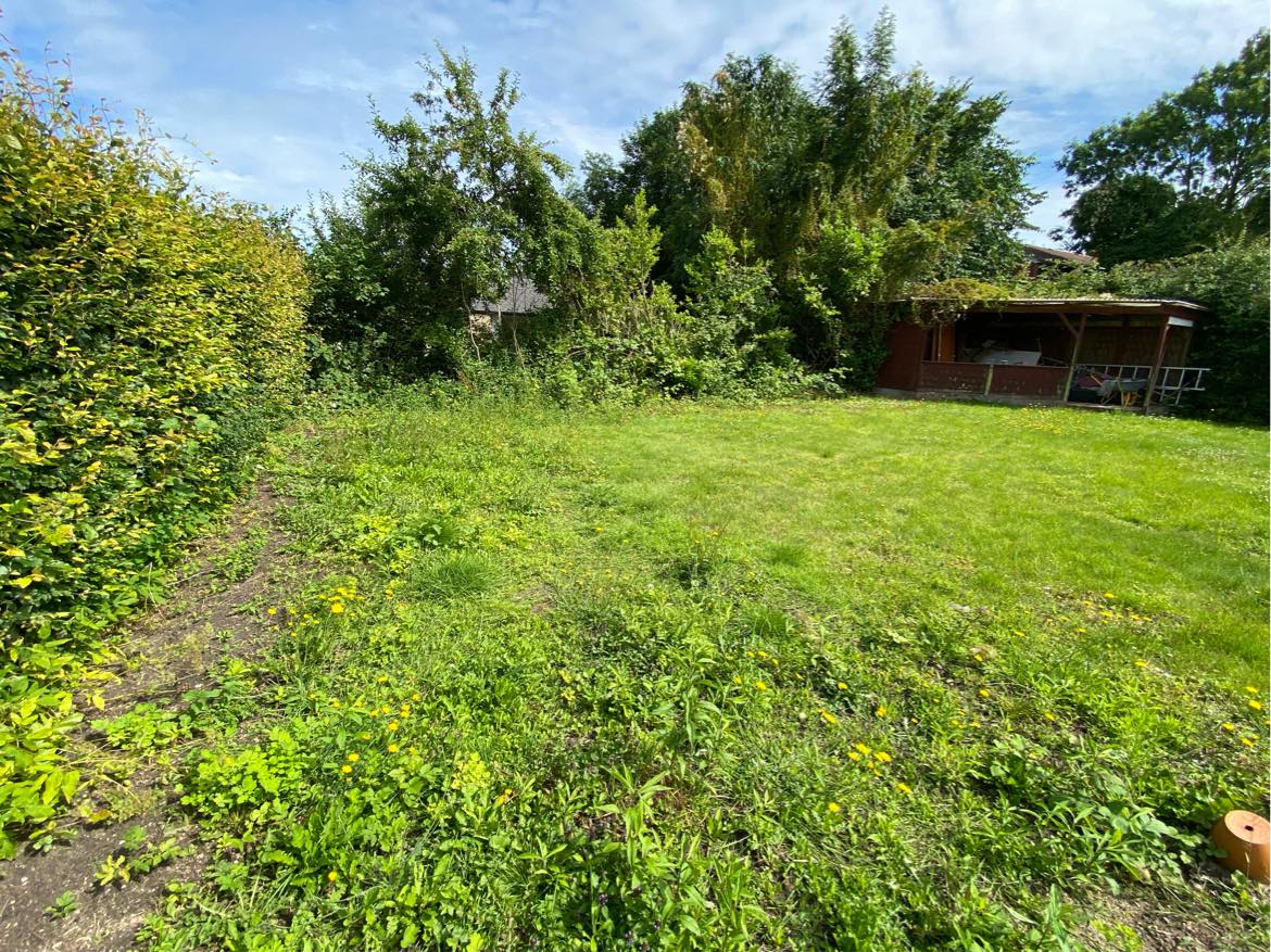 Ukrudtsfjernelse og græsklipning og hækklipning