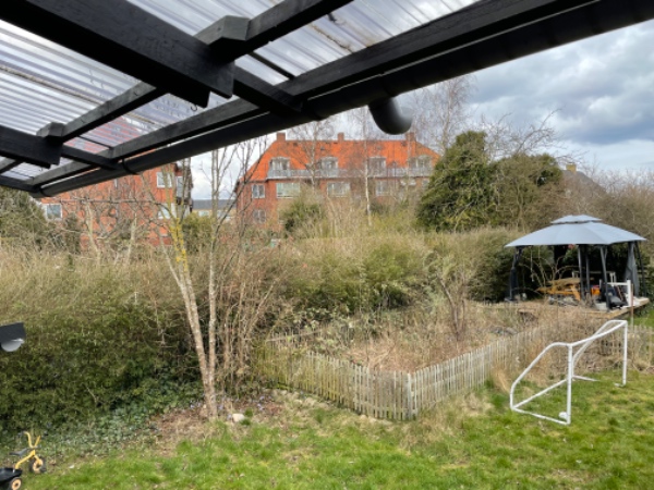 Hækklipning i maj/juni