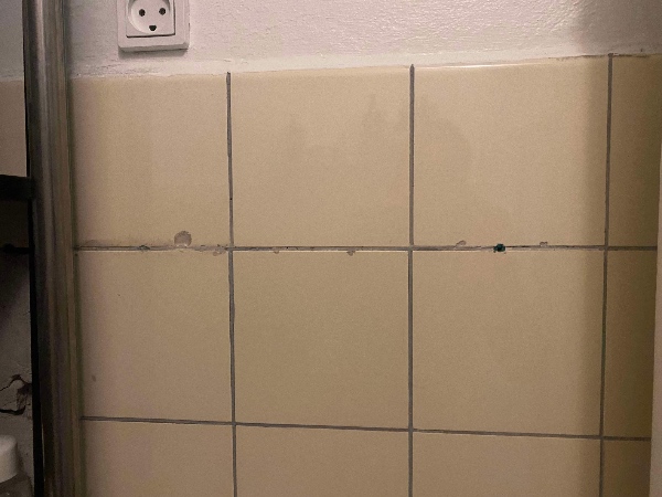 Opfriskning af fliser på badeværelse (fuger, fliser og evt. malearbejde)