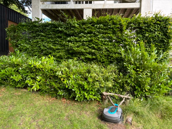 Fjernelse af 3 hække