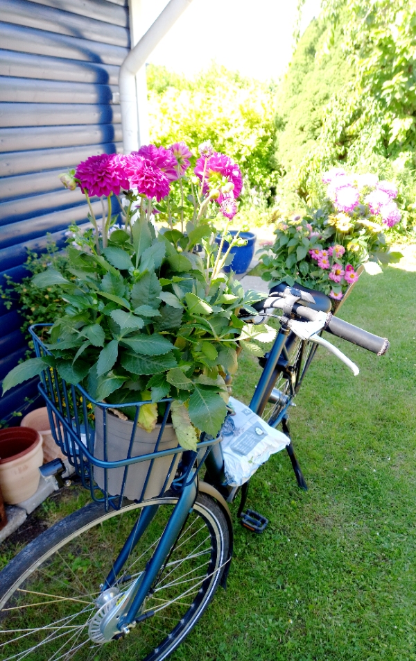 Forårsrengøring i kolonihavehus