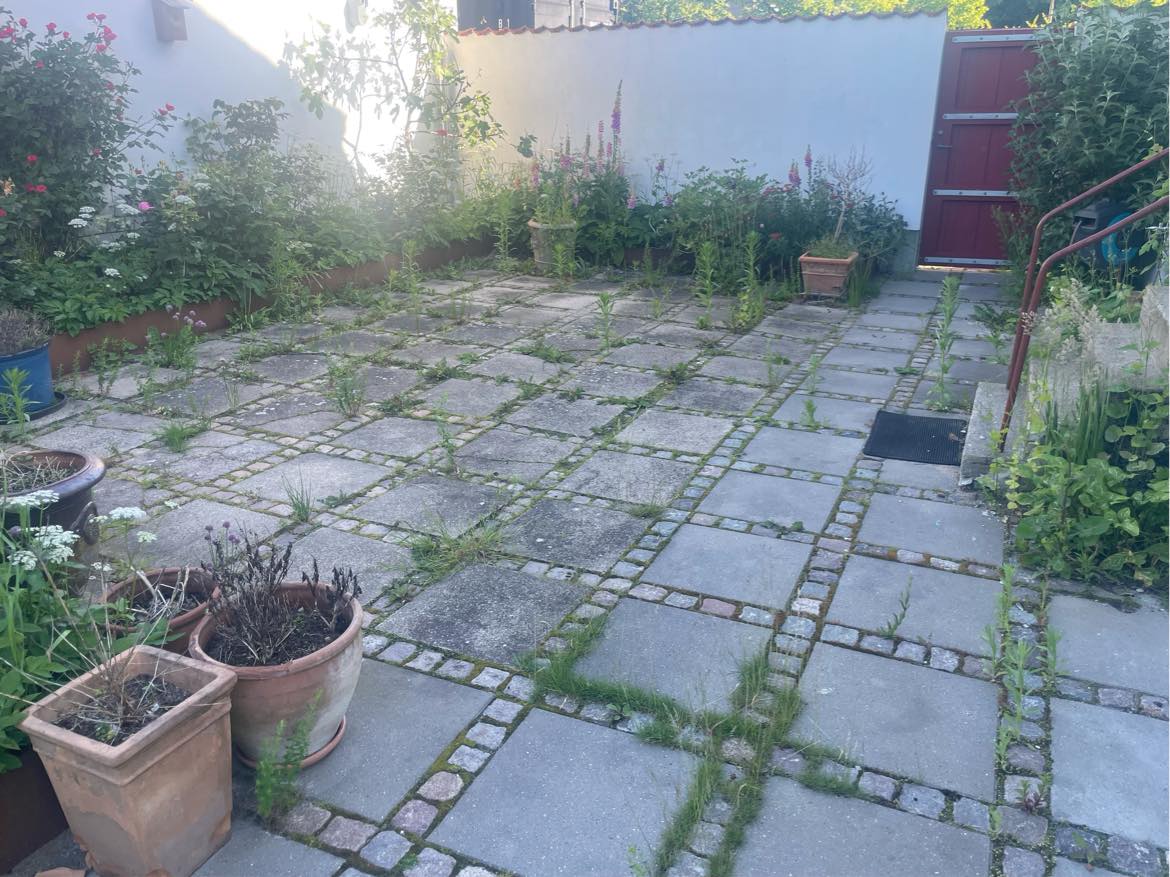 Klippe hæk og luge ukrudt