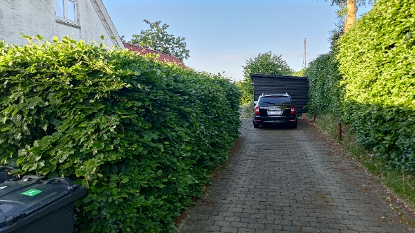 Klipning og bortskaffelse af hæk