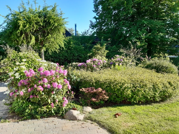 Havearbejde: hækklipning og ukrudtsfjernelse