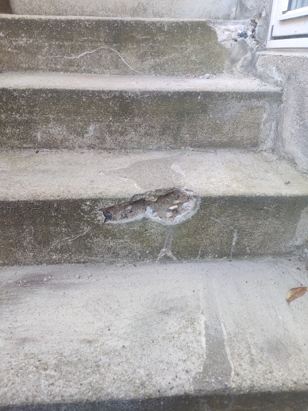 Reperation af udendørs teappe