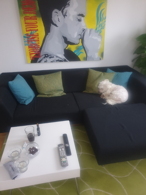 Afhentet sofa (210 cm) + puf, gulvtæppe og 1 standerlampe på 1.sal og køres til nærmeste genb.plads