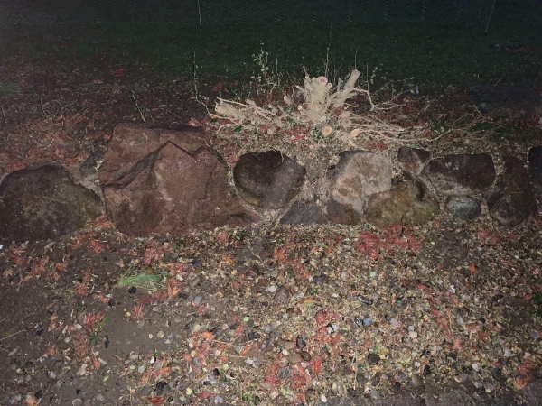 Fjernelse af sten fra stensætning