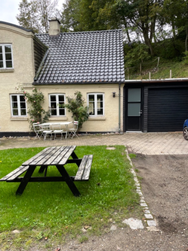 Afrensning af kvist - alger,  blade.. Især træbeklædning på sider. Derpå træbehandling/med Gorilla e