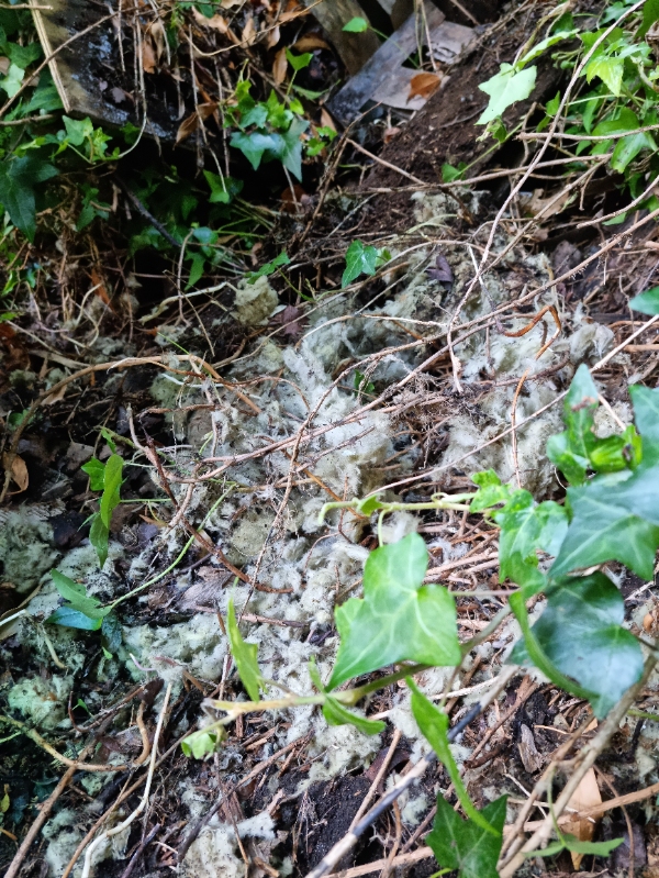 En bunke affald ryddes og bortkøres