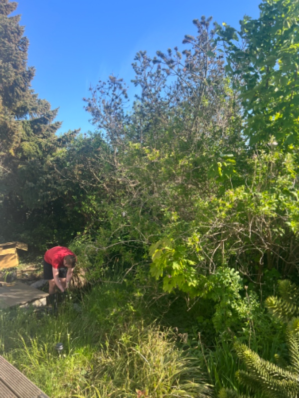Havearbejde og fjernelse af sten
