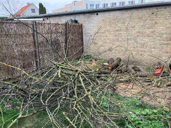 Fjernelse af træ og grene