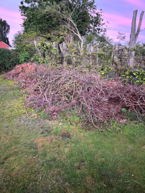 Bortskaffelse af grene og kompost