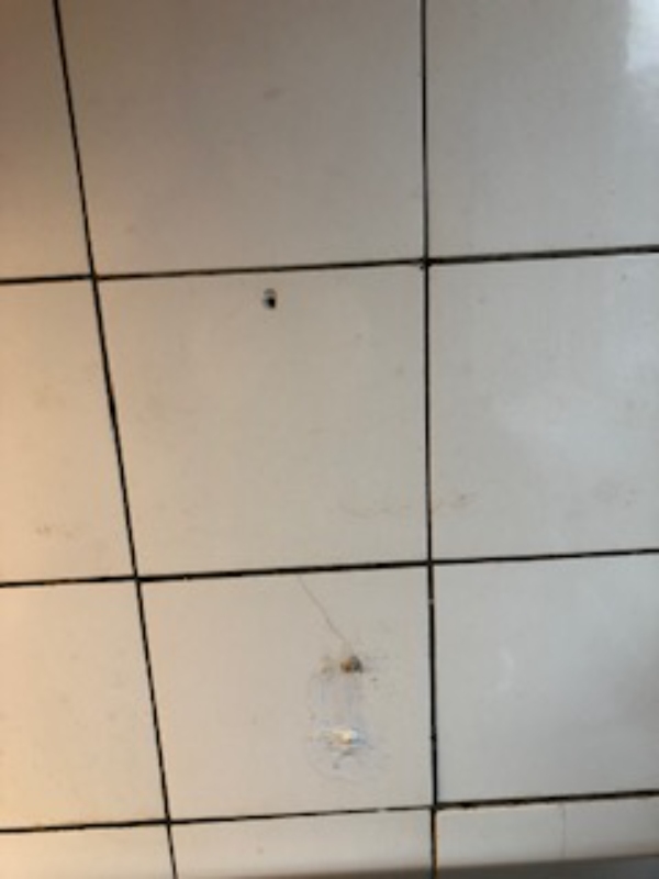 Udskiftning af ca. 10 ødelagte vægfliser 15x15 cm i køkken.