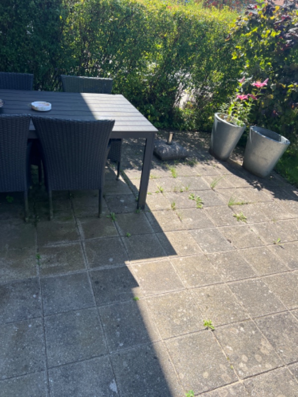 Græsslåning og fjernelse af ukrudt og klipning af bed