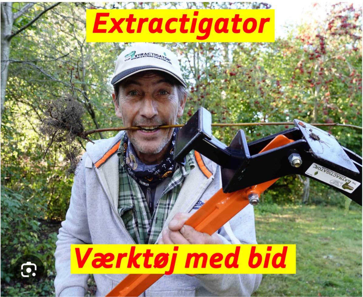 Optrækning af træer og buske