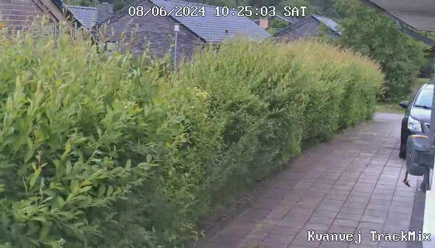 Klipning af 70m hæk til 1,80m