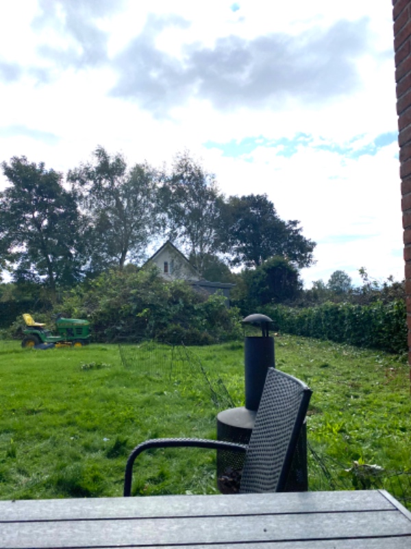 Hjælp til afhentning og transport af haveaffald fra en høj lang hæk,