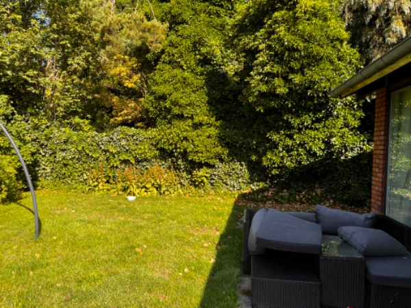 Have ordnes og storskrald fjernes