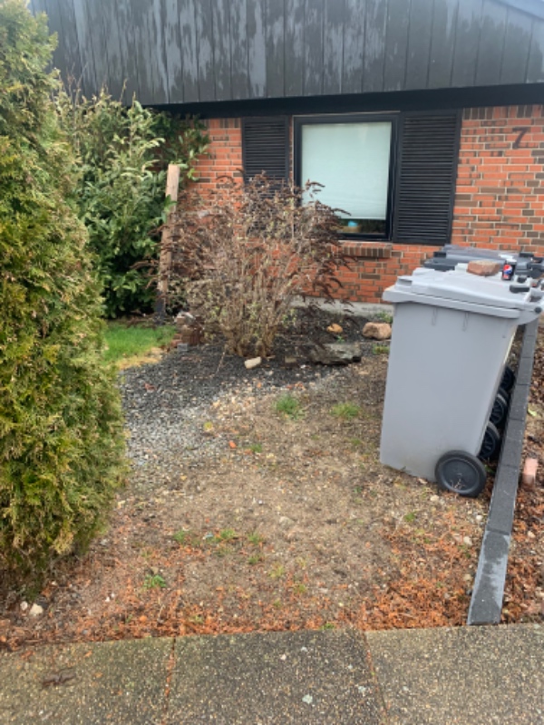 Fjernelse af granitral