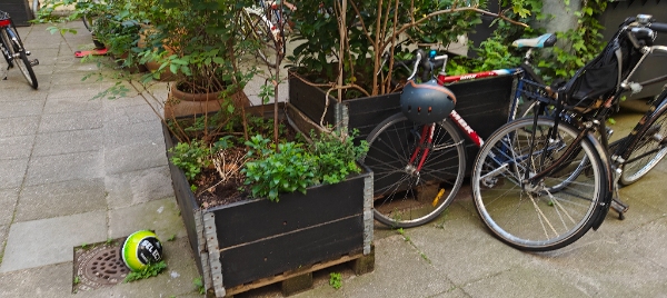 Bortskaffelse af jord og pallekasser, nedtagning af hegn mm.