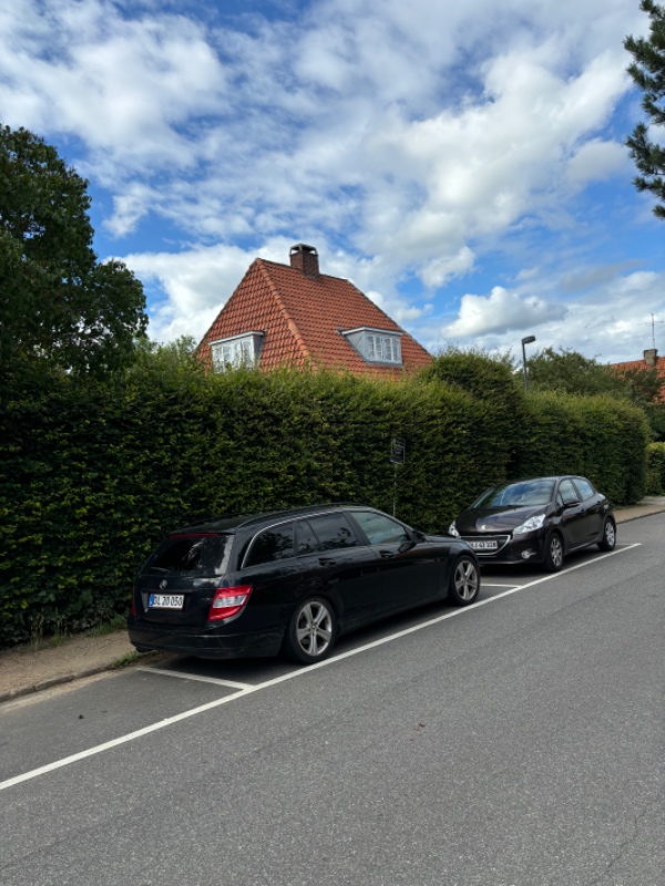 Klipning af bøgehæk