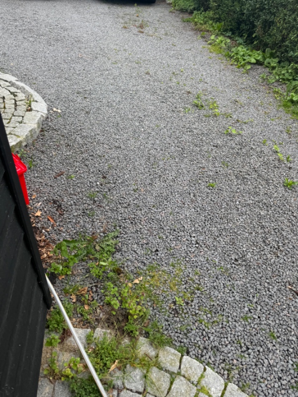 Rensning af indkørsel for ukrudt