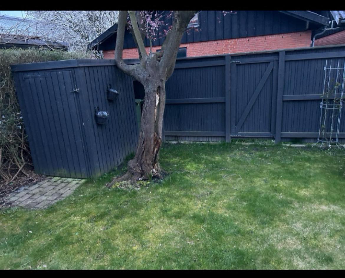 Anlægning af fliseterrasse