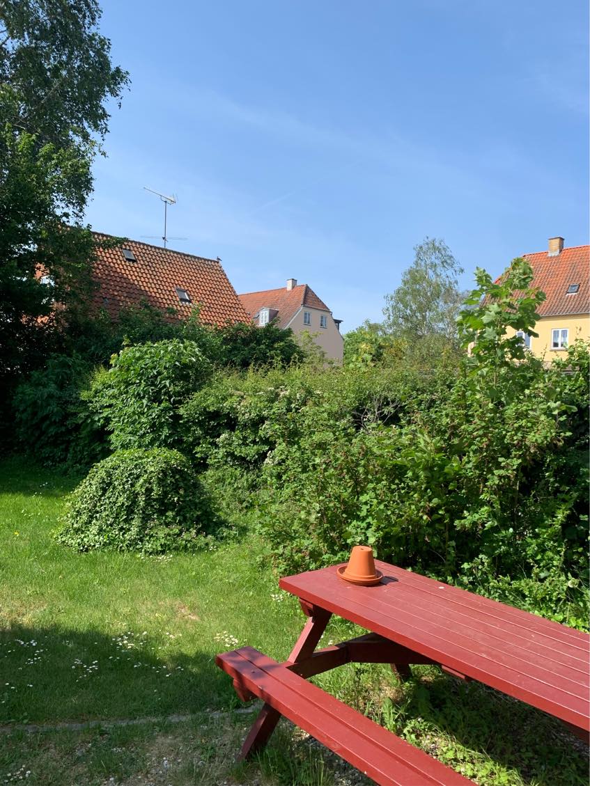 Klipning af div. buske og hæk