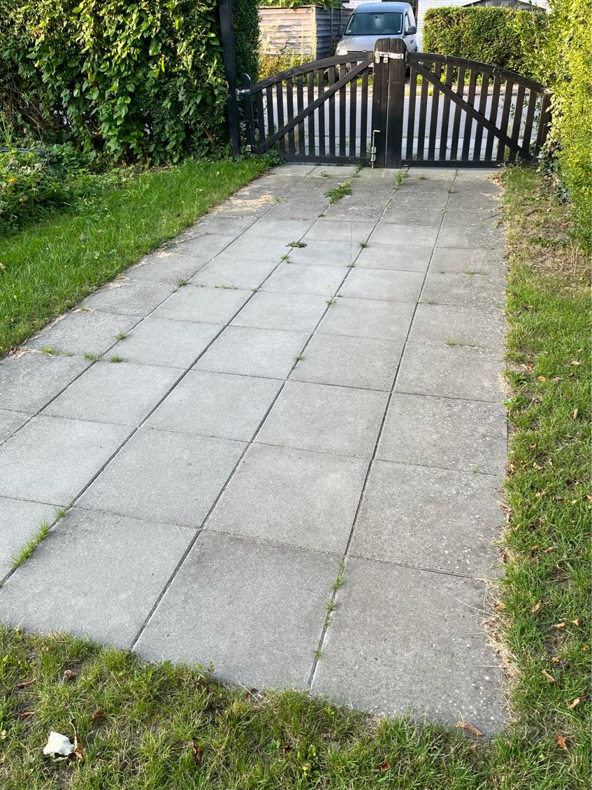 Klipning af hæk og græsplæne.