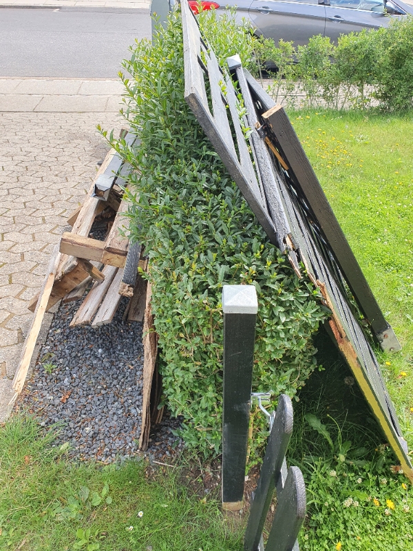 Køre trailer-læs træ på genbrugsstation