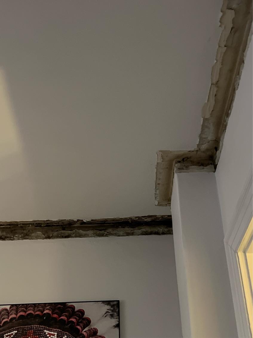 Opsætning af stuk (Polyurethan)