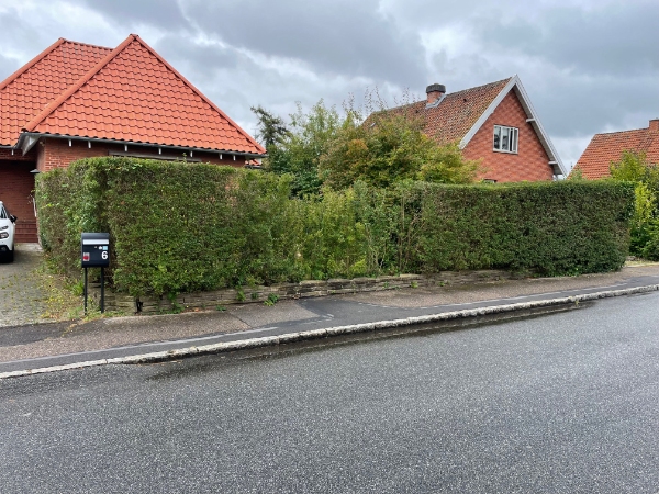 Gartner/Have arbejde - opgravning af 18m hæk