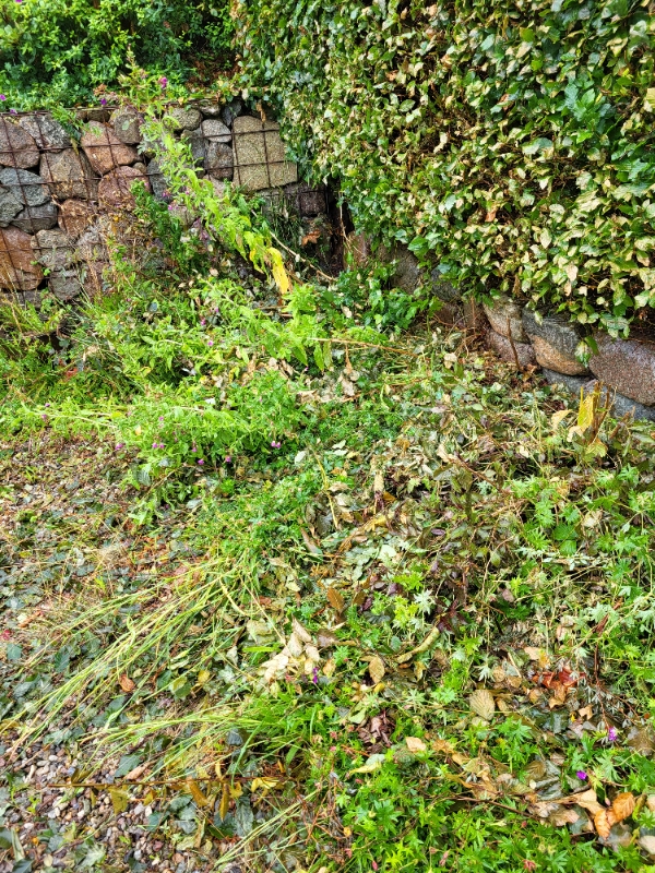 Fjerne planter og småsten