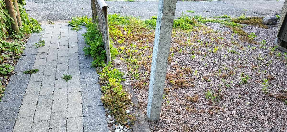 Lugning af indgangsparti