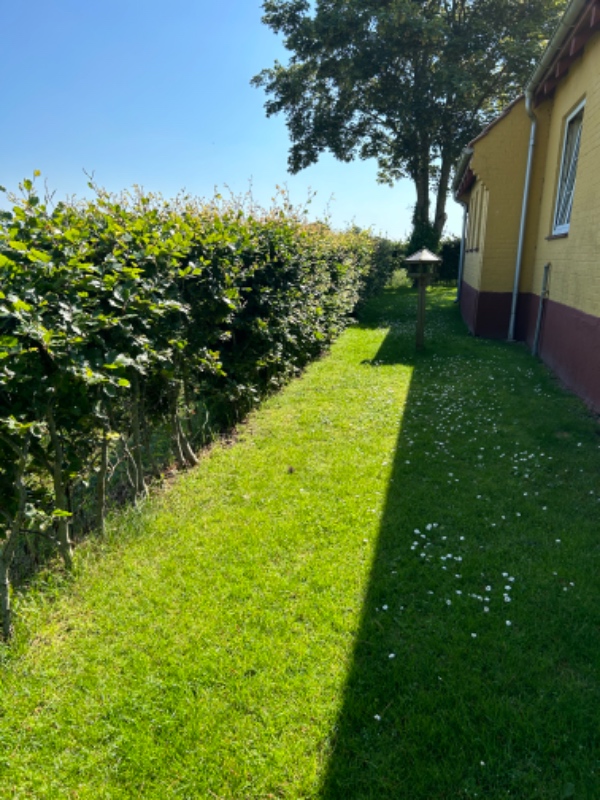 Hækklipning og fjernelse af afklip