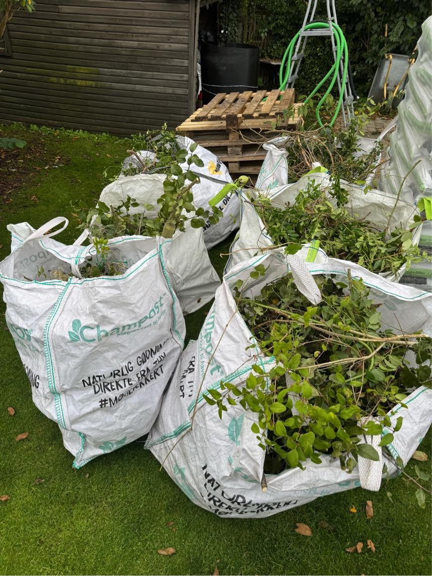 Bortskaffelse af haveaffald og euro paller