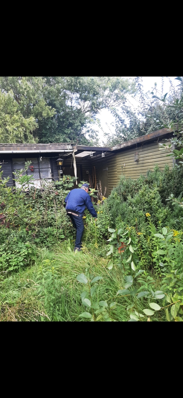 Beskæring rydning af diverse buske mm. Græs. Rudning af Brombær og hindbær. Bortkørsel af haveaffald