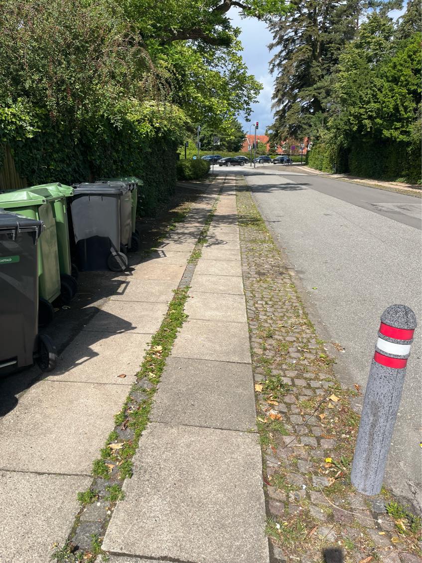 Fjerne ukrudt og feje