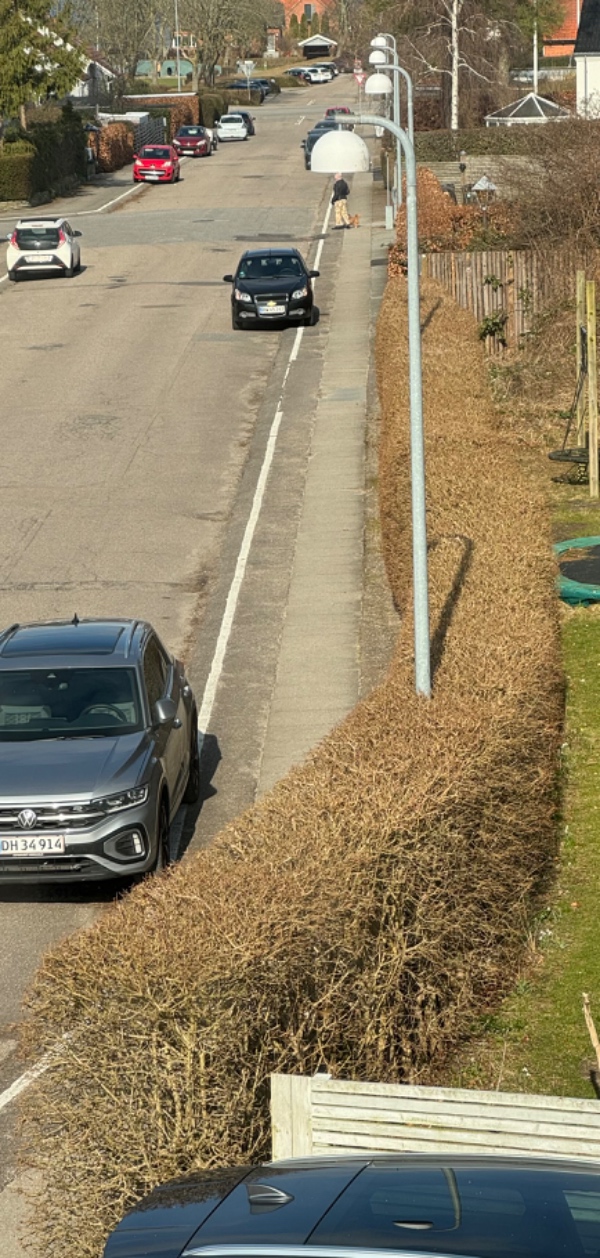 Fjernet haveaffald (inkl. hæk der er skåret ned)