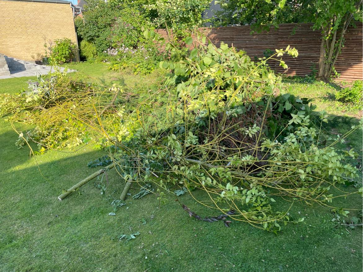 Haveaffald til genbrugspladsen
